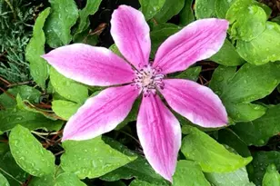 474 N Howland Rd, Howland, ME 04448 - Photo 60