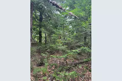 Lot128C Love Lake Road, Crawford, ME 04694 - Photo 8
