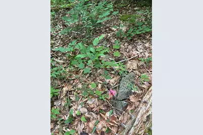 Lot128C Love Lake Road, Crawford, ME 04694 - Photo 10