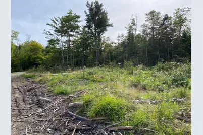 Lot128C Love Lake Road, Crawford, ME 04694 - Photo 6
