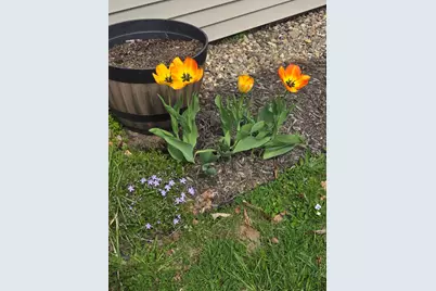 341 East Road, Wales, ME 04280 - Photo 32