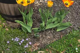 341 East Road, Wales, ME 04280 - Photo 32