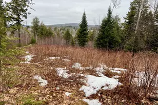 119 Reynolds Rd, Brooks, ME 04921 - Photo 28