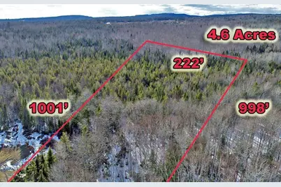 Lot 11-3-1 New Limerick Road, Linneus, ME 04730 - Photo 12