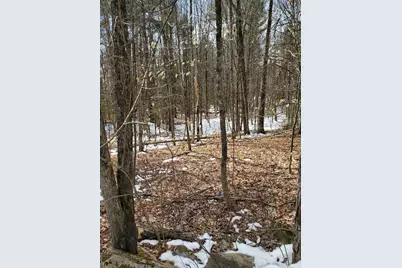 0 Burough Road, Dover Foxcroft, ME 04426 - Photo 6