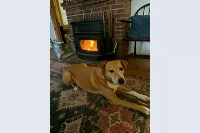 25 Katheryn Boulevard, Casco, ME 04015 - Photo 50