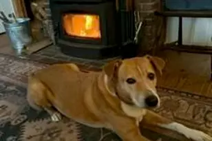 25 Katheryn Blvd, Casco, ME 04015 - Photo 50