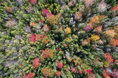 535 Bert Gray Road, Sullivan, ME 04664 - Photo 12