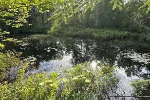 210B Trues Pond Rd, Montville, ME 04941 - Photo 28