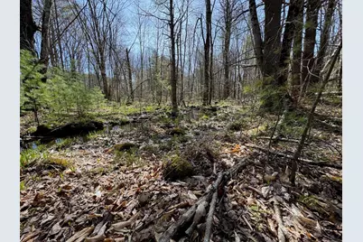 0 Scarlet Way, Lebanon, ME 04027 - Photo 8