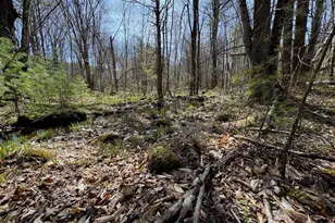 0 Scarlet Way, Lebanon, ME 04027 - Photo 8