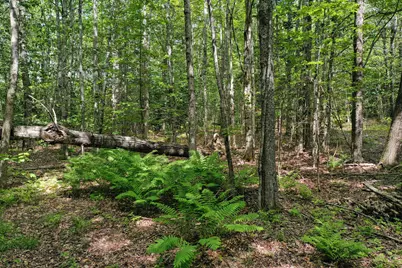 M5 L24 Goosepecker Ridge, Montville, ME 04941 - Photo 4