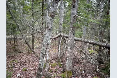 Wa31P01L21 Kings Street, Dennysville, ME 04628 - Photo 18