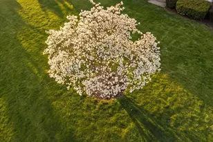 60 N Hill Rd, Buckfield, ME 04220 - Photo 72