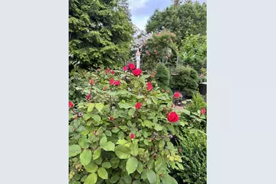 45 Mitchell Road, South Portland, ME 04106 - Photo 80