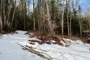 36 Springfield Rd, Winn, ME 04495 - Photo 34