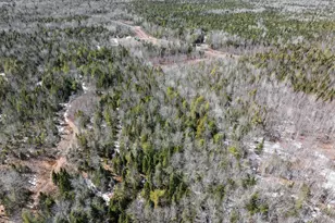 68 Tower Rd, Argyle Twp, ME 04468 - Photo 32