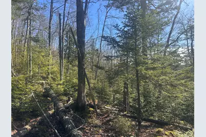 237 Knights Pond Road, Northport, ME 04849 - Photo 14