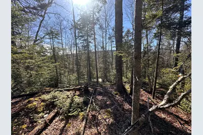 237 Knights Pond Road, Northport, ME 04849 - Photo 12