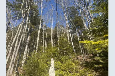 237 Knights Pond Road, Northport, ME 04849 - Photo 16