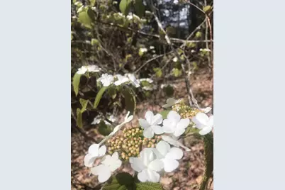 1018 Main Street, Meddybemps, ME 04657 - Photo 22