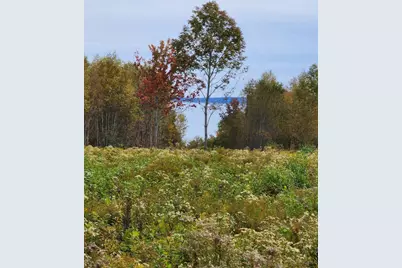 Lot 52 Us- Route 1, Robbinston, ME 04668 - Photo 6