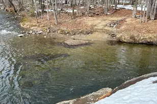 58 Jenkins Rd, Temple, ME 04984 - Photo 22