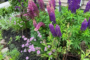 15 Wadsworth St, Thomaston, ME 04861 - Photo 60