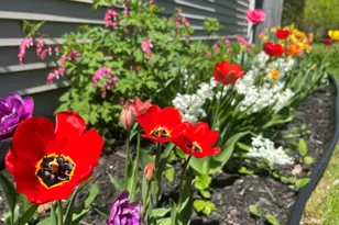 15 Wadsworth St, Thomaston, ME 04861 - Photo 62