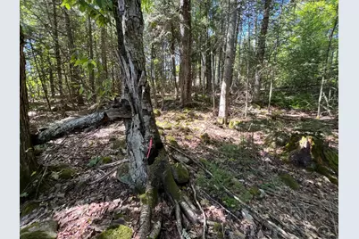 Map 3 Lot 11-12 Beans Corner Road, Hartland, ME 04943 - Photo 4