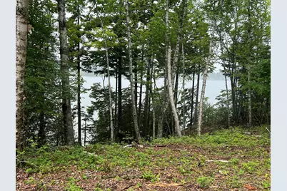 Lot 1 Puffins Lane, Machiasport, ME 04655 - Photo 6