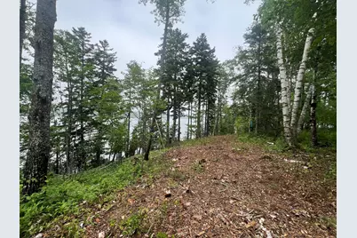 Lot 1 Puffins Lane, Machiasport, ME 04655 - Photo 4