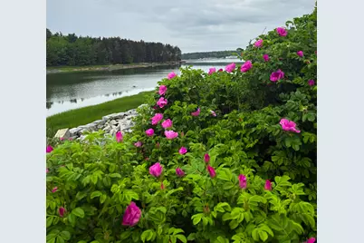 260 Clark Island Road, Saint George, ME 04859 - Photo 44