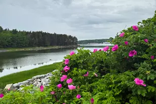 260 Clark Island Rd, Saint George, ME 04859 - Photo 44