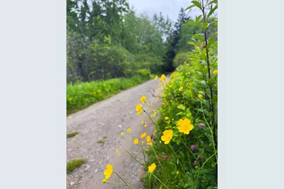 260 Clark Island Road, Saint George, ME 04859 - Photo 52