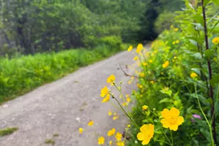 260 Clark Island Rd, Saint George, ME 04859 - Photo 52