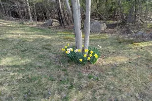 311 Milt Brown Rd, Standish, ME 04084 - Photo 76