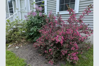 311 Milt Brown Road, Standish, ME 04084 - Photo 68