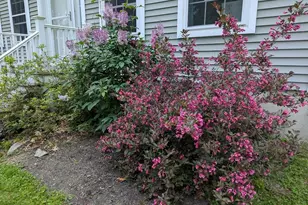 311 Milt Brown Rd, Standish, ME 04084 - Photo 68