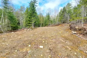 0 Pioneer Path, Aurora, ME 04408 - Photo 10