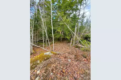 0 Pioneer Path #Lot 5, Aurora, ME 04408 - Photo 12