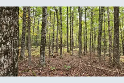 4 Cousineaus Tory Hill Heights, Phillips, ME 04966 - Photo 40