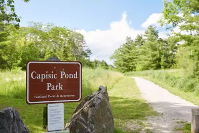 117 Colonial Road, Portland, ME 04102 - Photo 40