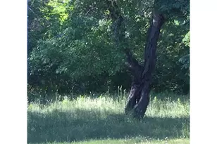 110 Jacksonville Rd, East Machias, ME 04630 - Photo 6