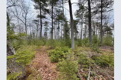 0 Town Farm Road, Bucksport, ME 04416 - Photo 6