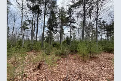 0 Town Farm Road, Bucksport, ME 04416 - Photo 8