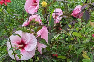 48 Pennell Ave, Portland, ME 04103 - Photo 62