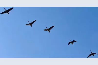 Lot 13B Pleasant Hill Road, Brunswick, ME 04011 - Photo 26