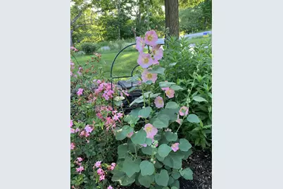 482 Back Road, Shapleigh, ME 04076 - Photo 74