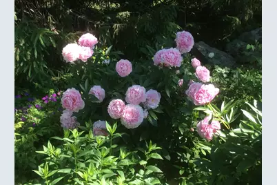 482 Back Road, Shapleigh, ME 04076 - Photo 82